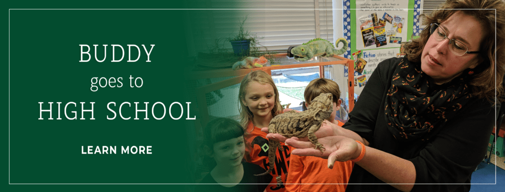 Buddy goes to high school. Image of Buddy the bearded dragon.
