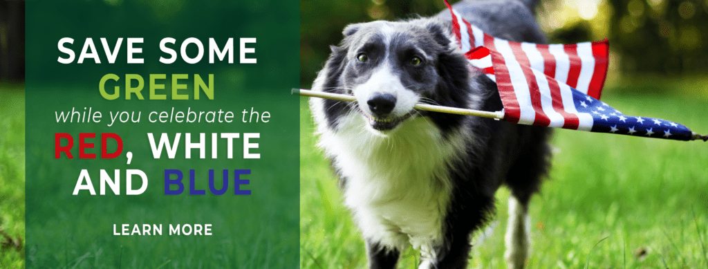 Save some green while you celebrate the red, white and blue. Image of a dog carrying an American flag.