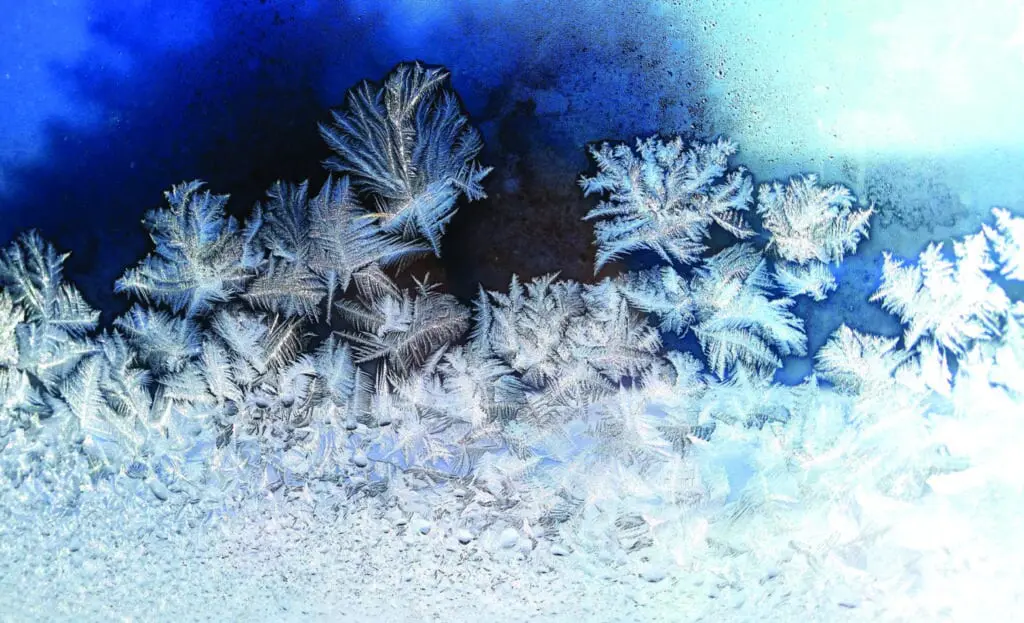 delicate-design-of-frost-on-a-window-in-cold-winte-2022-08-01-04-12-48-utc