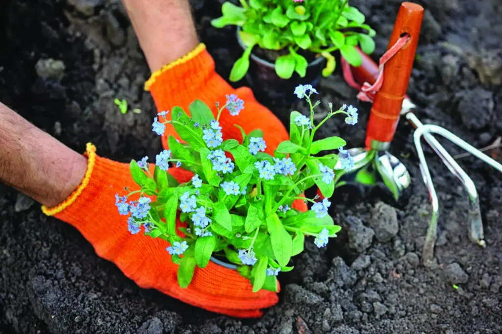 gardening