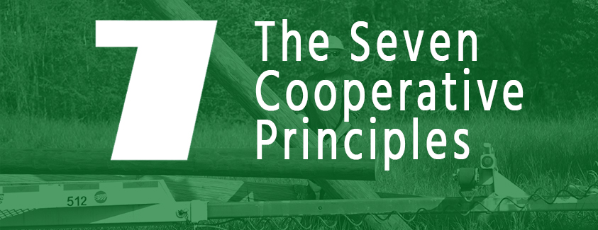 Large number seven overlaying an image of a lineman working outside. Overlaid with text "The Seven Cooperative Principles".