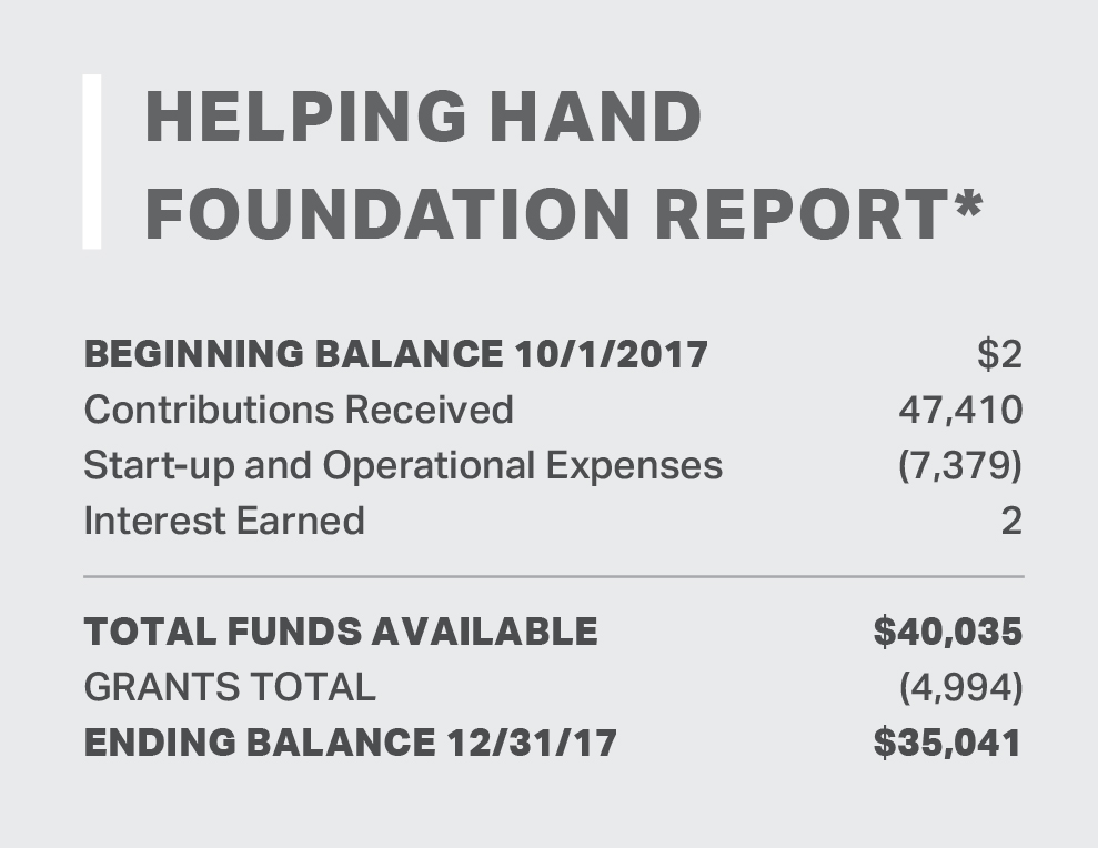 Helping Hand Foundation Report