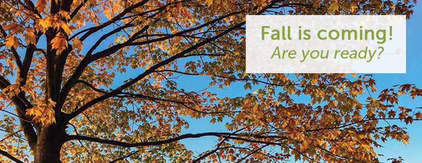 Text: Fall is coming, are you ready? Image: A tree with its leaves changing colors.