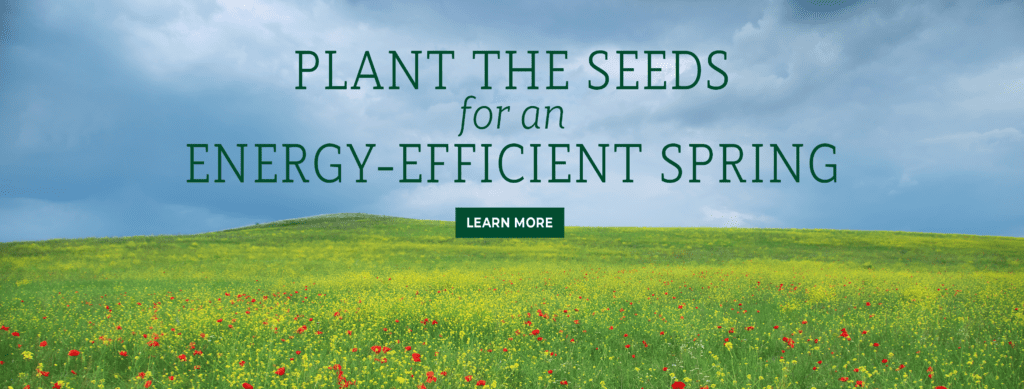 Plant the seeds for an energy-efficient spring. Learn more. Image of a field of flowers.