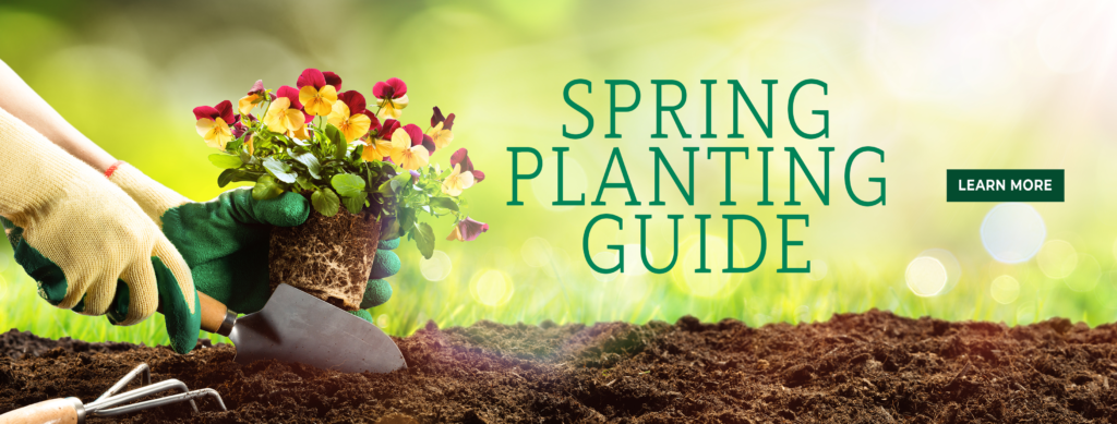 Spring planting guide. Learn more. Image of someone planting a garden.