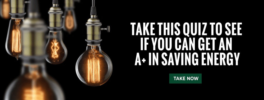 Take this quiz to see if you can get an A+ in saving energy. Take Now. Image of light bulbs hanging down.