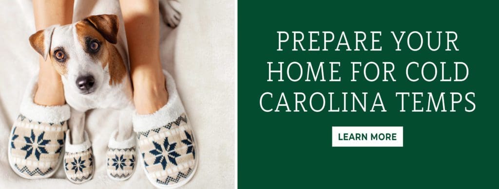 Prepare your home for cold carolina temps. Image of a dog and person in matching slippers.