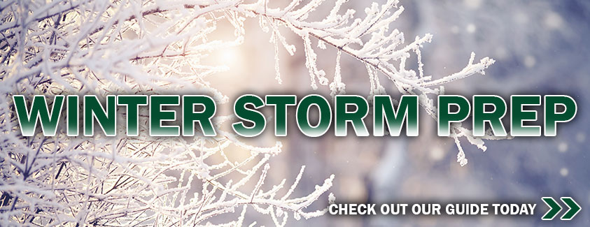 Winter storm prep, check out our guide today, branches covered in snow
