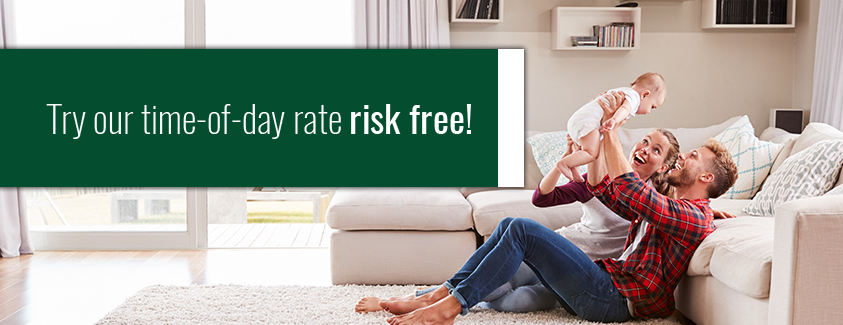Try our time-of-day rate risk free! Image of a fmaily leaning on couch.