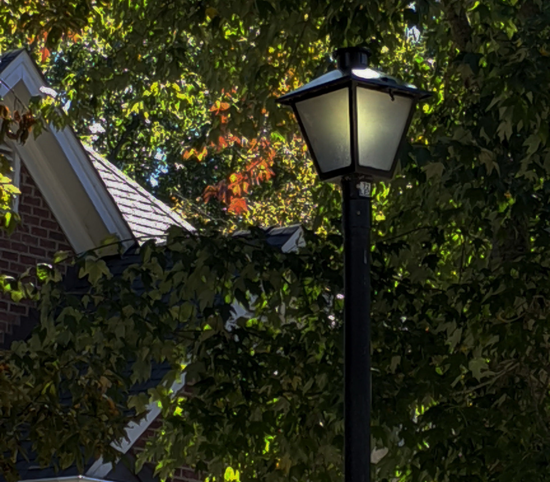outdoor security light