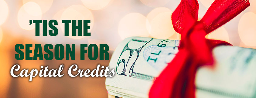 'Tis the season for capital credits. Image of cash wrapped in a bow.