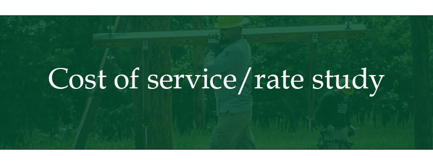 Cost of service/rate study. Image of lineworker.