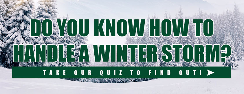 Do you know how to handle a winter storm? Take our quiz to find out! Image of snowy trees.