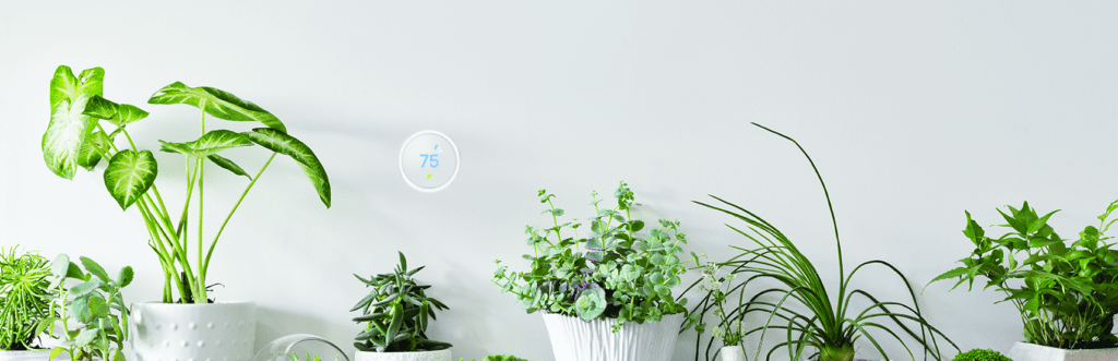 Nest thermostat with plants