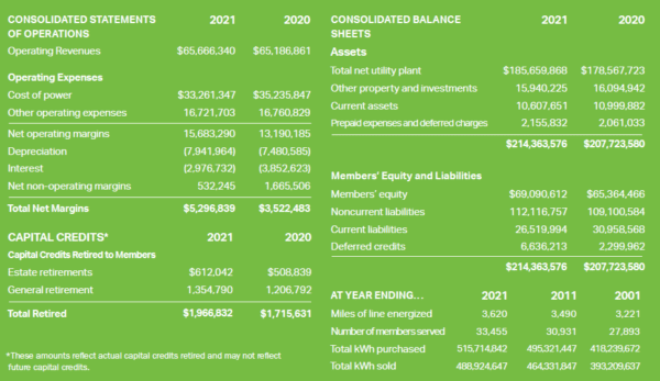 Audited Financial Statement | Piedmont Electric