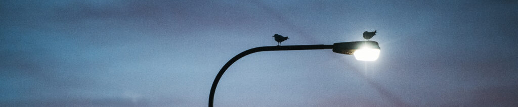 A street light against cloudy twilight background.