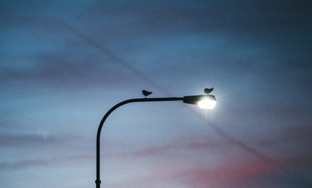 A street light against cloudy twilight background.