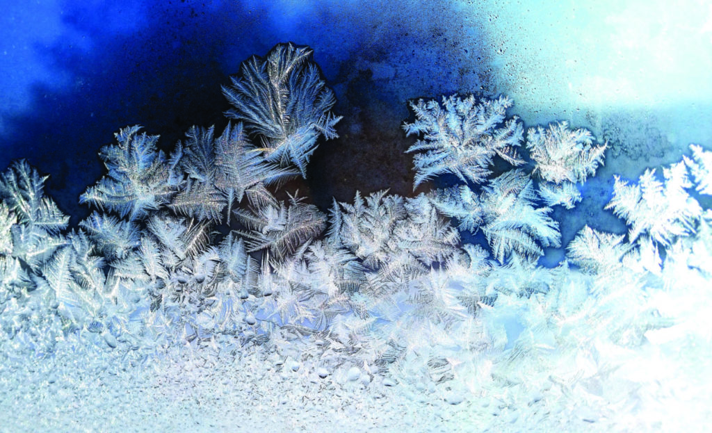 delicate-design-of-frost-on-a-window-in-cold-winte-2022-08-01-04-12-48-utc