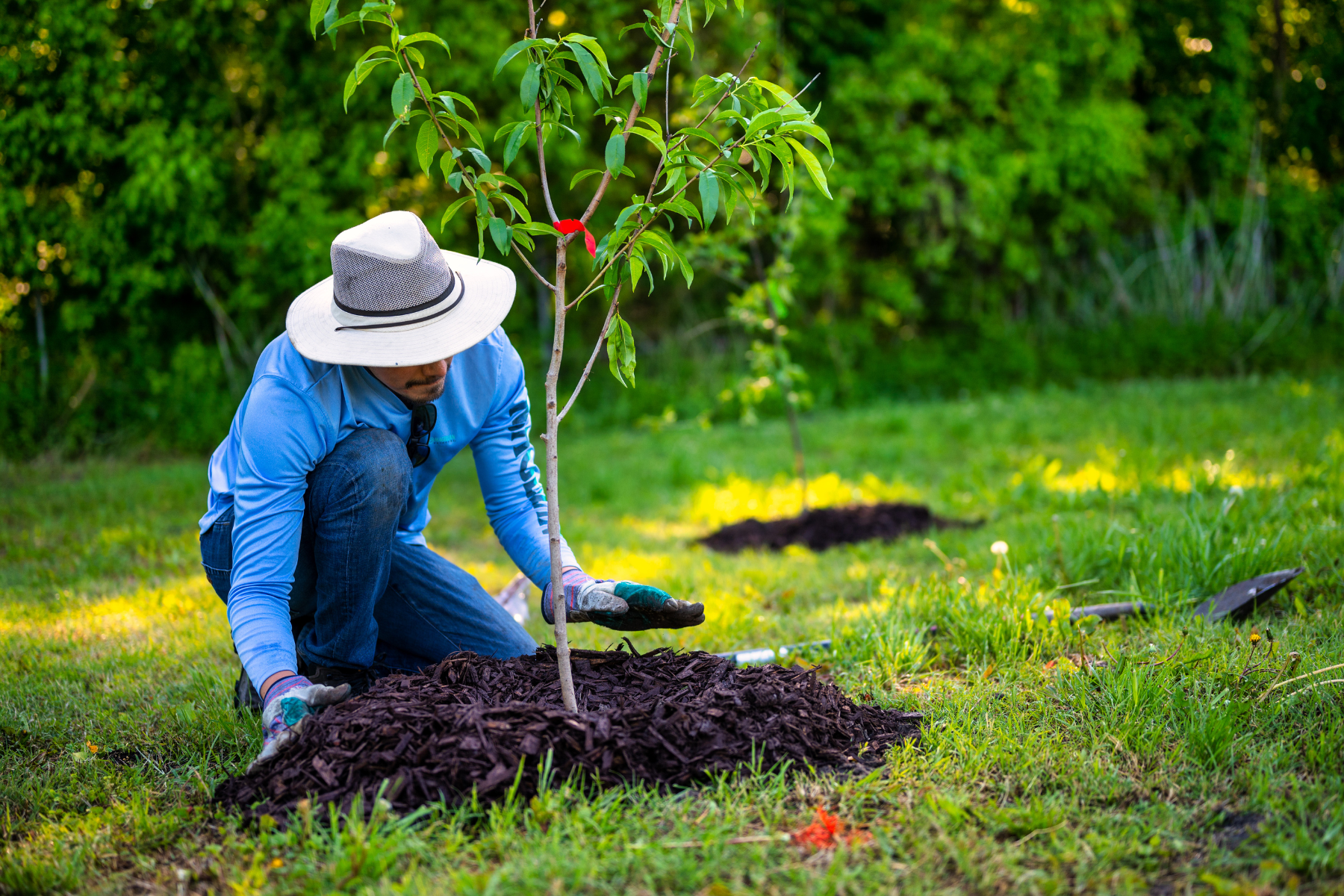 From Trees to Dig Sites, Protecting Your Power Year-Round | Piedmont ...